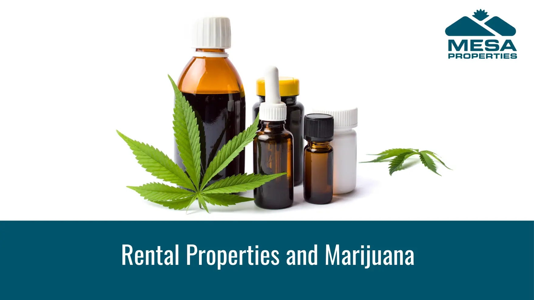 Rental Properties and Marijuana